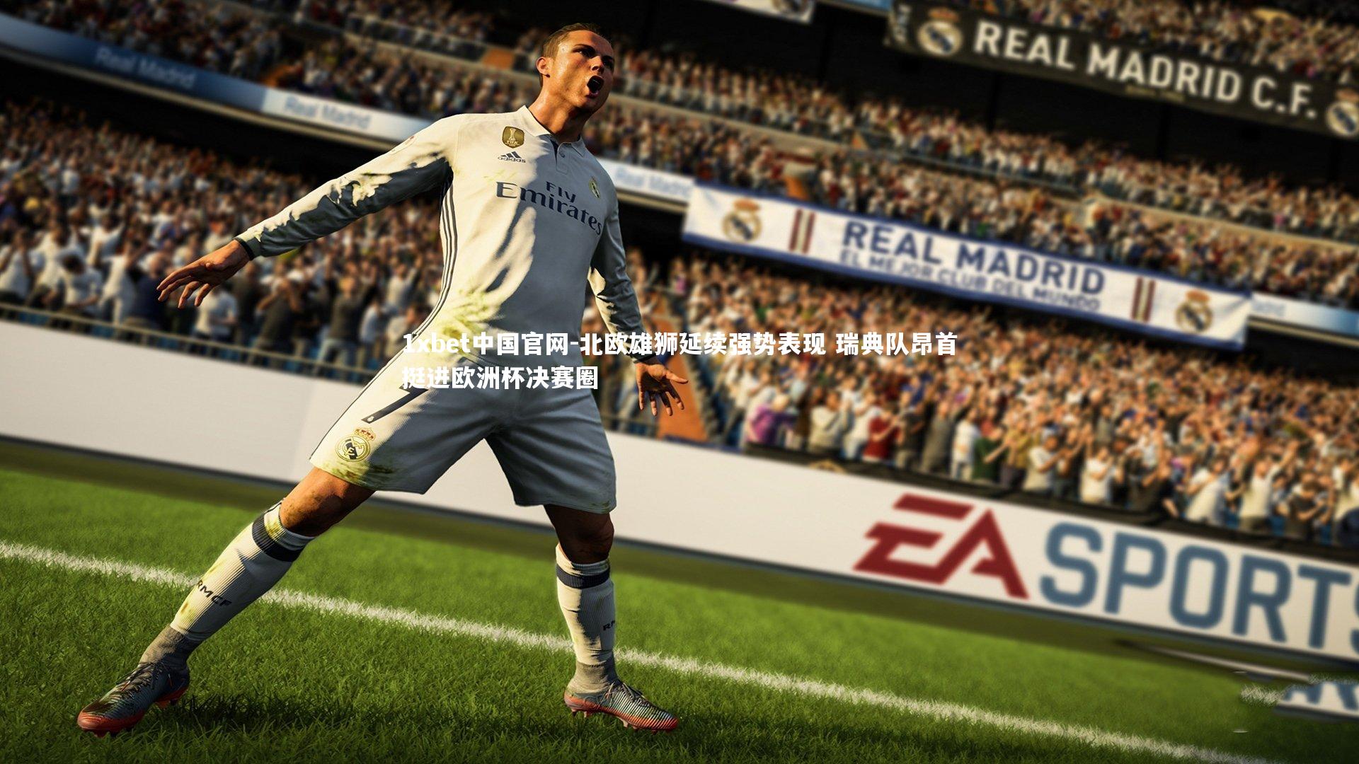 北欧雄狮延续强势表现 瑞典队昂首挺进欧洲杯决赛圈